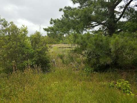 Cedar Key Subdivision Cedar Key Subdivision